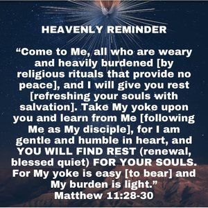 Meet your Posher, Dorothy